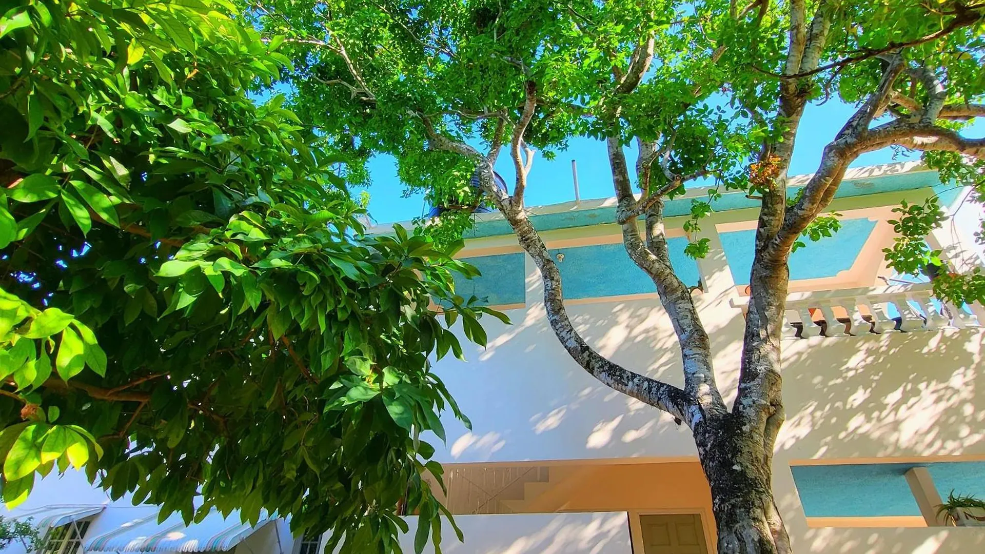 Guest house Green'S Palace Jamaica Oracabessa